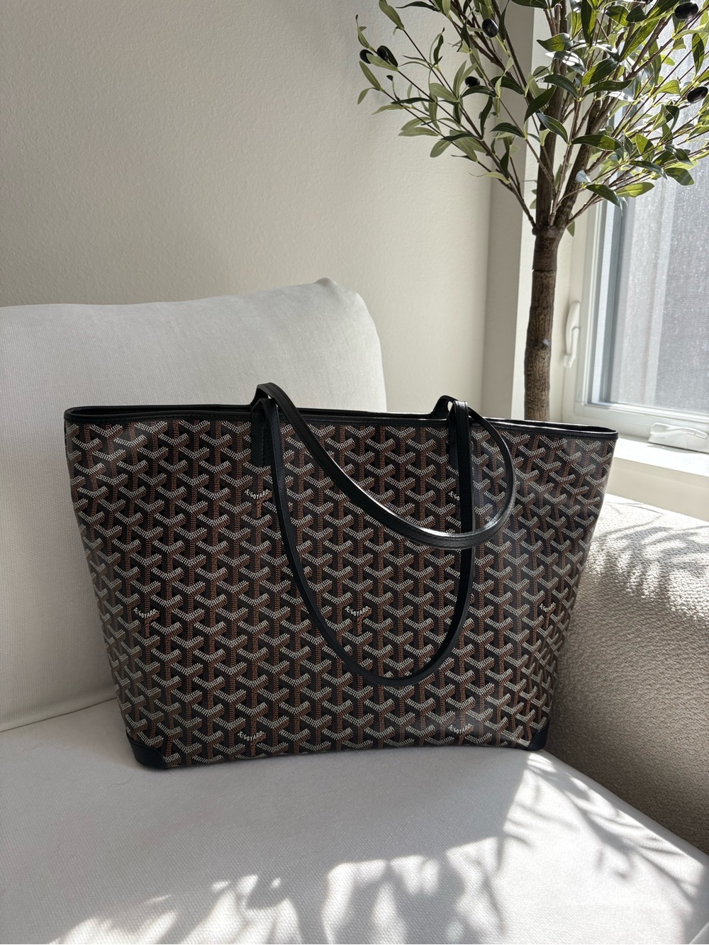 Authentic Goyard Artois MM in Black